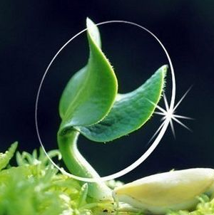 驗光師培訓(xùn)學(xué)校分析抗疲勞鏡片與比漸進(jìn)多焦鏡片