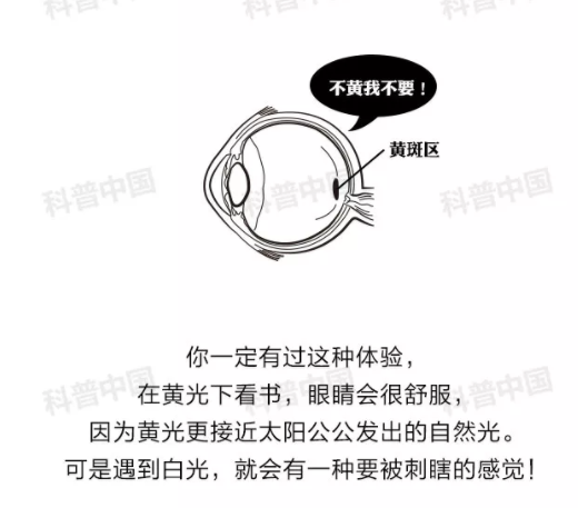 驗(yàn)光師培訓(xùn)科普：護(hù)眼燈真的能保護(hù)眼睛嗎？